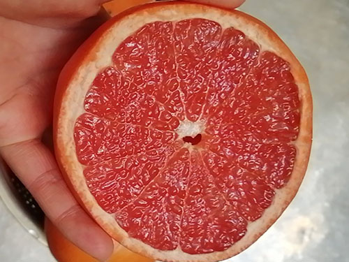 清肺养肺效果最好的小偏方食疗 葡萄柚/红枣/桑叶/玉米须润肺清肺