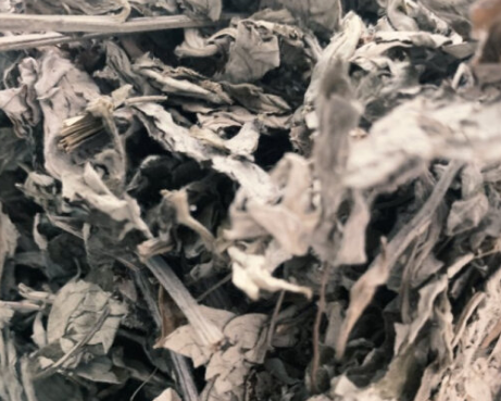 湿气重尽量六不吃 穷人去湿毒最快的好方法