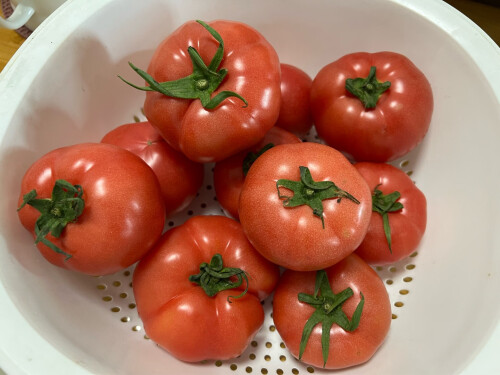 夏天10大蔬菜，夏季时令蔬菜一览表