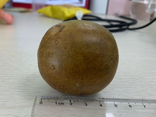 孕妇能吃罗汉果吗