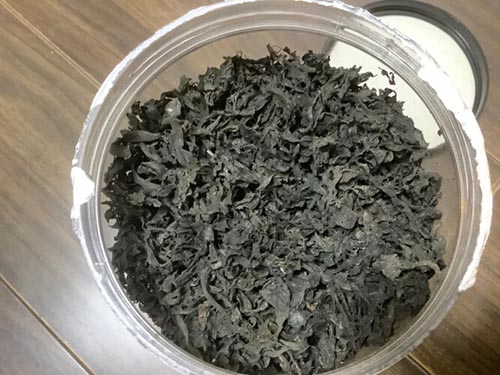 地皮菜是什么菜 地皮菜怎么做好吃