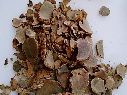 黑心姜与一??吃用姜区别
