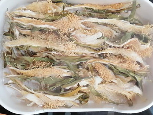 中药霸王花的功效