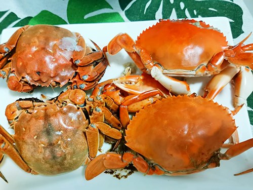 阳澄湖大闸蟹哪家正宗