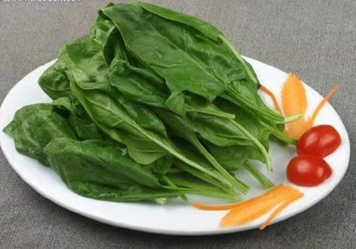 肾虚吃什么食物能???