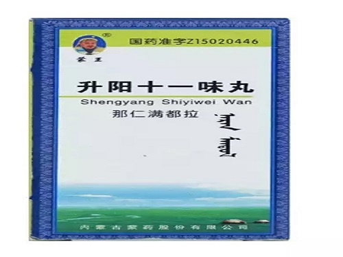 升阳十一味丸的作用与功效
