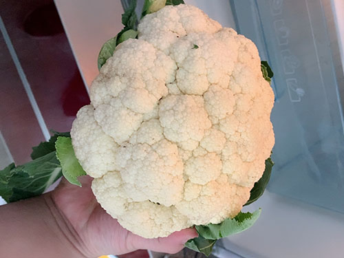 白菜花的功效与作用