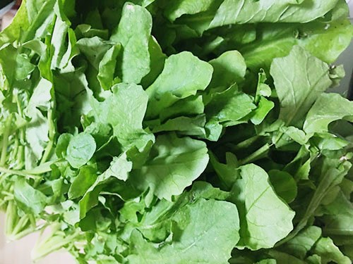 荠菜功效与副作用