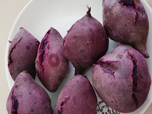 每天吃红薯好吗