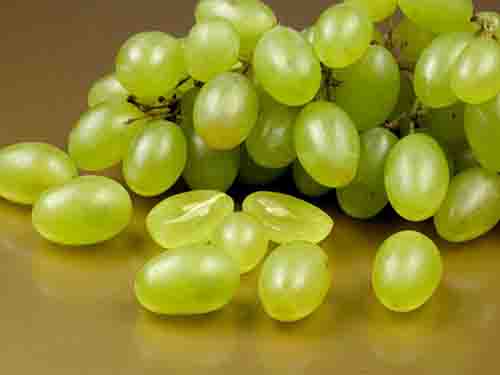 提子皮和提子籽能吃吗