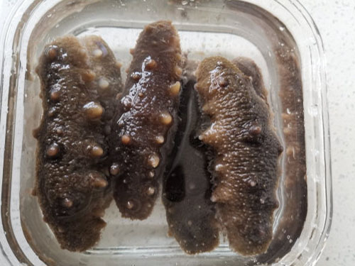 海参的十大功效与作用
