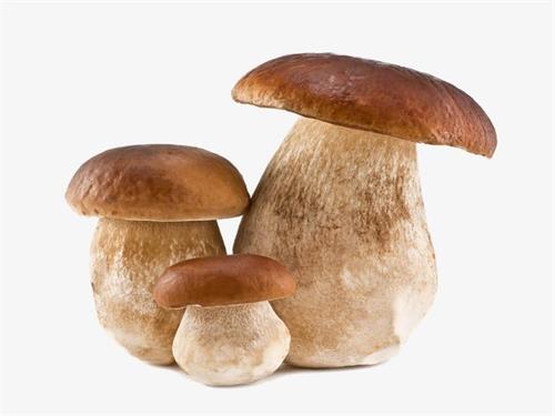 有点神经衰弱吃什么好