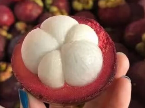 山竹过敏症状表现