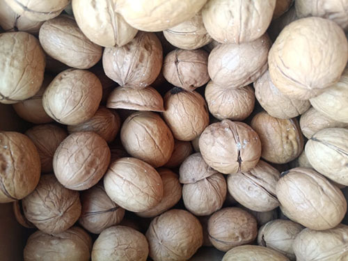 秋季进补吃哪些食物最好 秋季进补需要注意什么