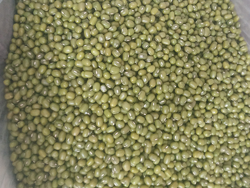 绿豆小米粥升血糖吗
