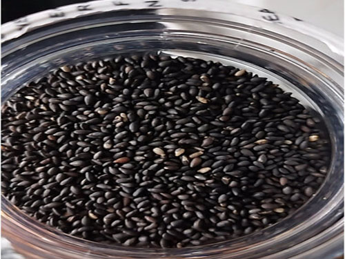 脱发该吃什么？皮肤科医生整理了十大食疗方