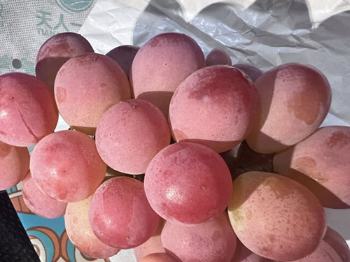 祝寿的水果有哪些，给老人祝寿买什么水果