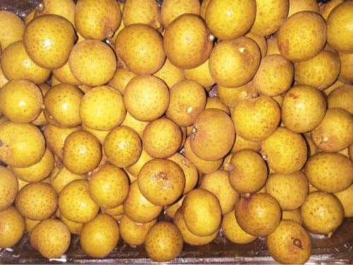 失眠吃什么容易入睡，吃点桂圆/热牛奶/小米粥