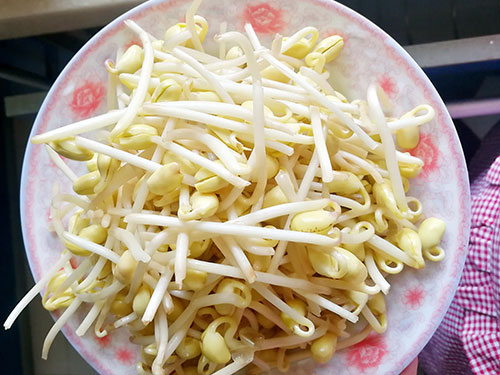 黄豆芽的功效与作用 黄豆芽的适宜人群