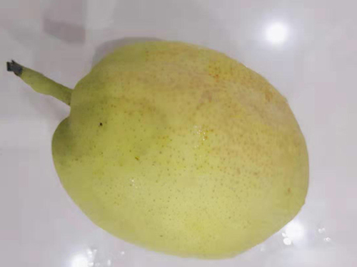 单硝酸异山梨酯片的作用与功效