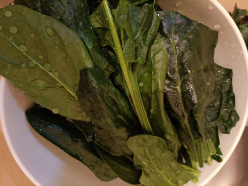 世界十大顶级营养食物 十类公认营养丰富的食物