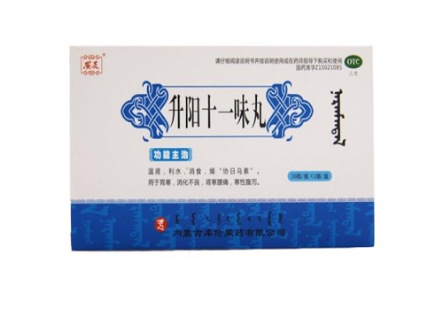升阳十一味丸哪里有卖的