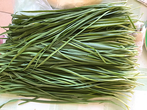 山韭菜花的功效与作用