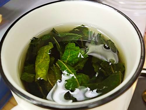 桑叶茶