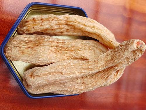 天麻头痛片的价格多少钱