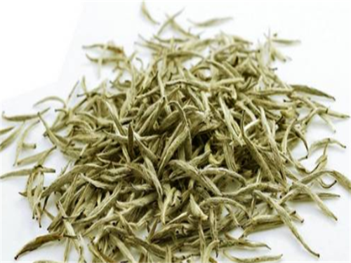 小叶荨麻的功效与作用
